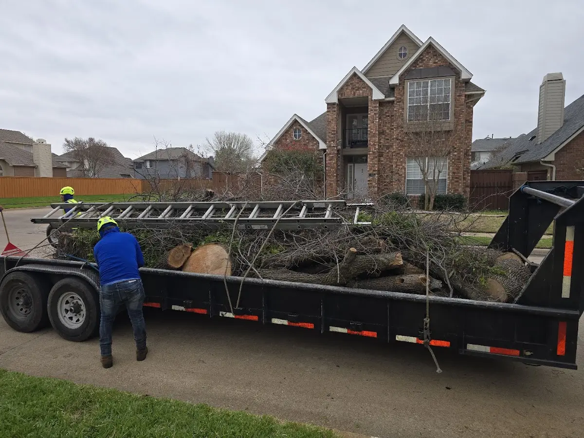 Expert Lot Clearing with proper safety equipment in Minden